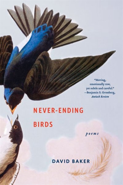 Never-ending Birds by David Baker, Paperback | Indigo Chapters