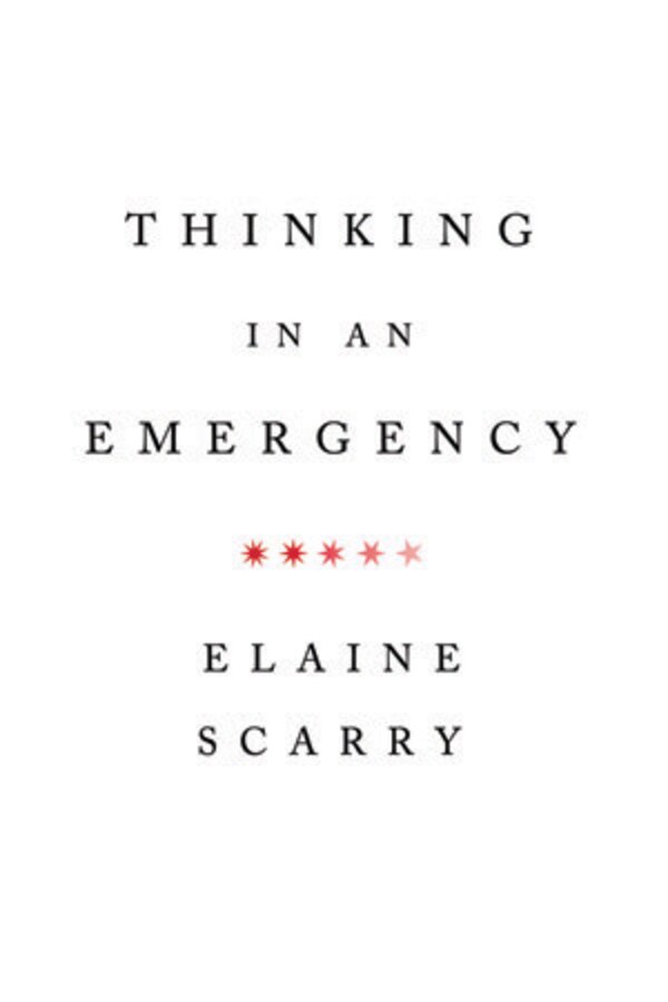 Thinking In An Emergency by Elaine Scarry, Paperback | Indigo Chapters