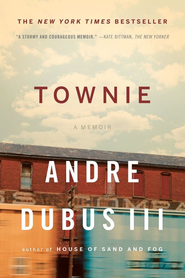 Townie by Andre Dubus, Paperback | Indigo Chapters