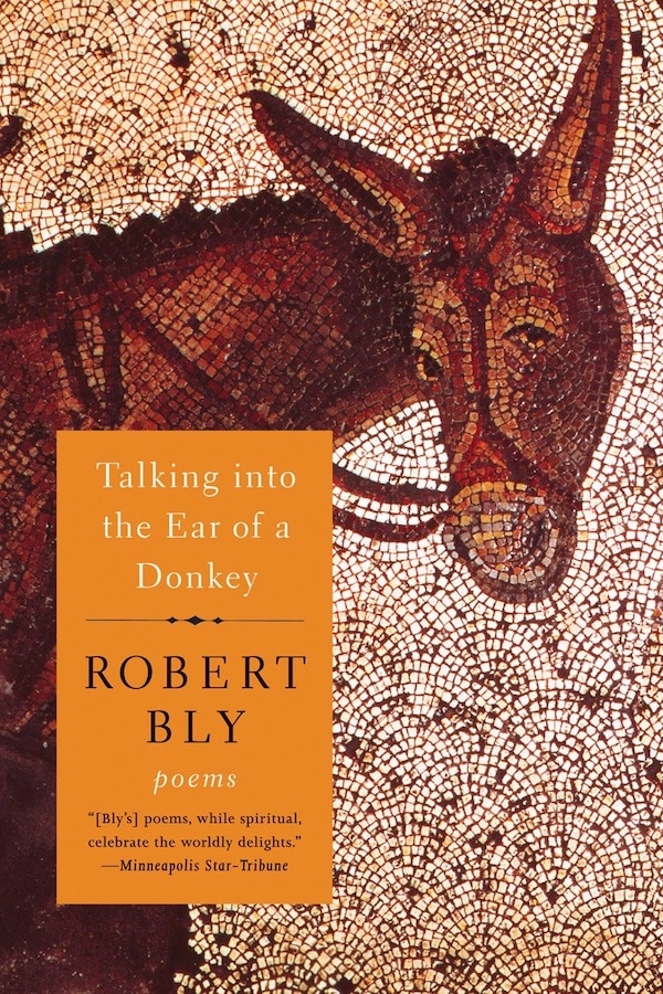 Talking Into The Ear Of A Donkey by Robert Bly, Paperback | Indigo Chapters