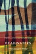 Headwaters by Ellen Bryant Voigt, Paperback | Indigo Chapters