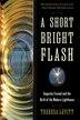 A Short Bright Flash by Theresa Levitt, Paperback | Indigo Chapters