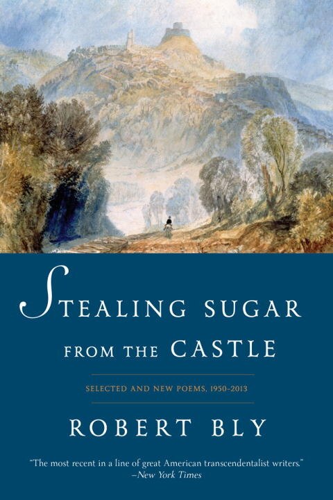 Stealing Sugar From The Castle by Robert Bly, Paperback | Indigo Chapters