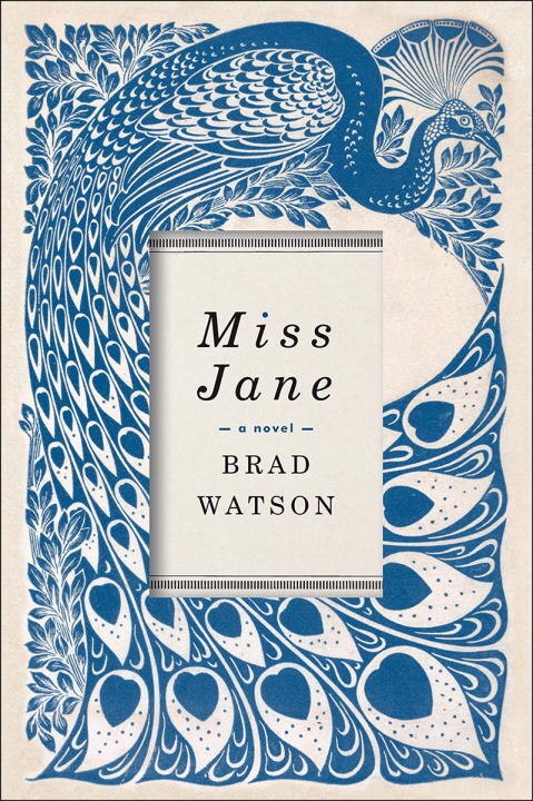 Miss Jane by Brad Watson, Paperback | Indigo Chapters