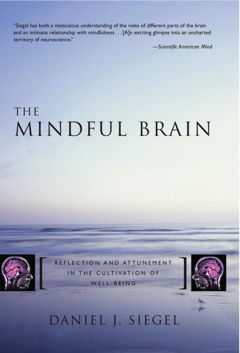 Siegel/mindful Brain by Daniel J. Siegel, Hardcover | Indigo Chapters