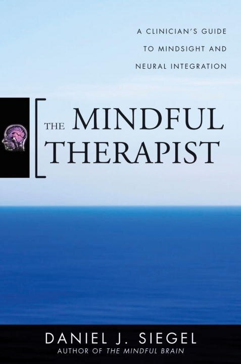 The Mindful Therapist by Daniel J. Siegel, Hardcover | Indigo Chapters