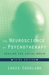 Louis Cozolino The Neuroscience Of Psychotherapy 3rd Edition by