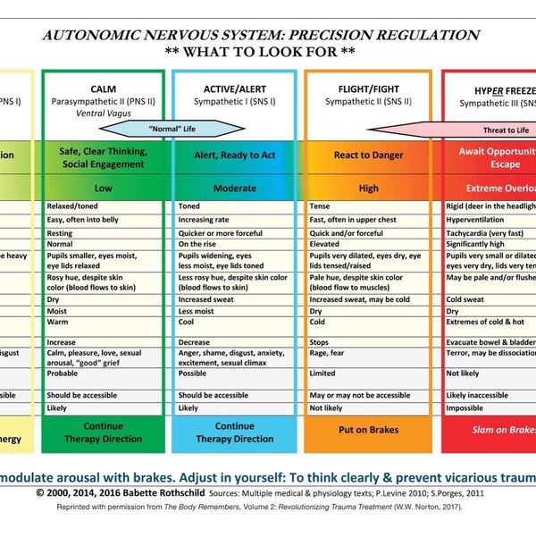 Autonomic Nervous System Table: Laminated Card by Babette Rothschild, Paperback | Indigo Chapters