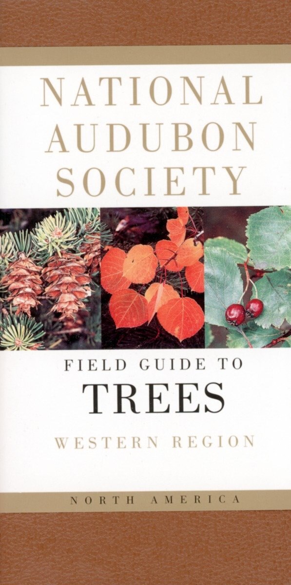 National Audubon Society Field Guide to North American Trees, Hardcover | Indigo Chapters