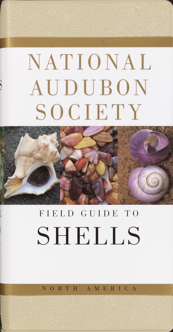 National Audubon Society Field Guide To Shells, Hardcover | Indigo Chapters