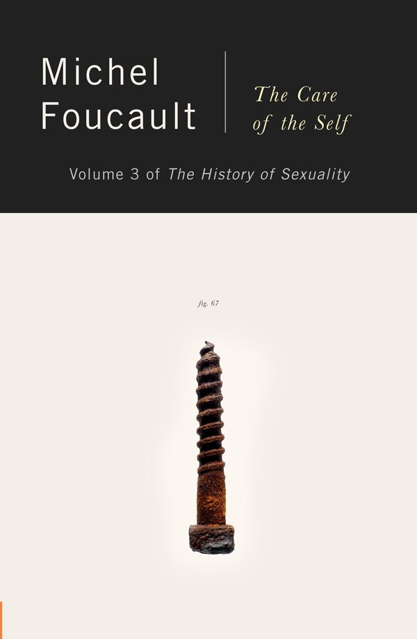 The History Of Sexuality Vol. 3 by Michel Foucault, Paperback | Indigo Chapters