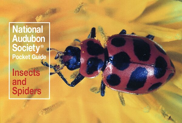 National Audubon Society Pocket Guide: Insects And Spiders, Paperback | Indigo Chapters