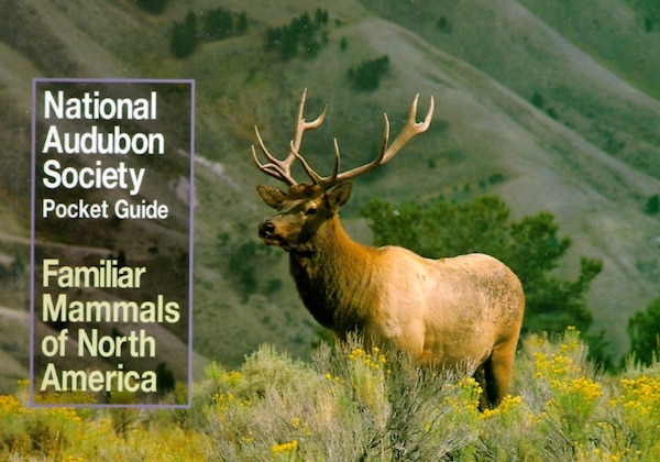 National Audubon Society Pocket Guide To Familiar Mammals, Paperback | Indigo Chapters