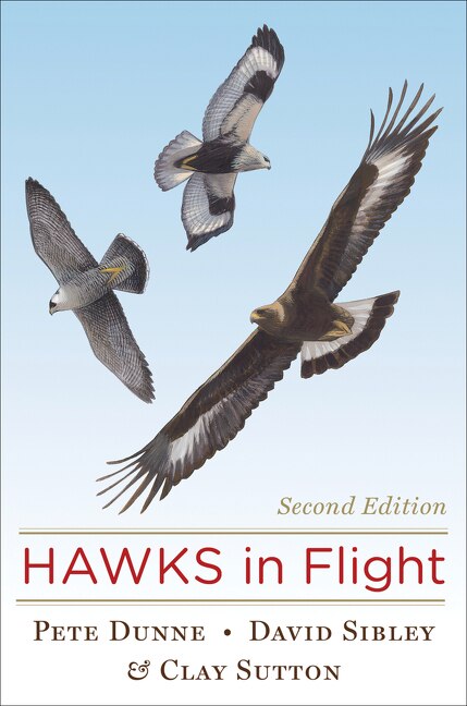 Hawks in Flight by David Sibley, Hardcover | Indigo Chapters