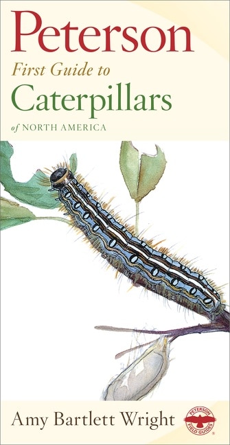 Peterson First Guide To Caterpillars Of North America by Amy Bartlett Wright, Paperback | Indigo Chapters