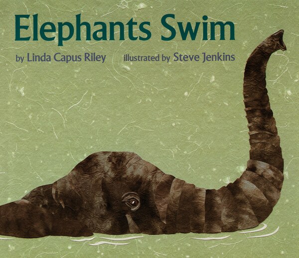 Elephants Swim by Linda Capus Riley, Paperback | Indigo Chapters