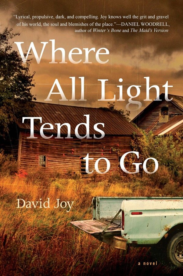 Where All Light Tends To Go by David Joy, Hardcover | Indigo Chapters