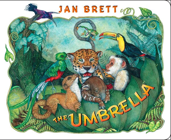 The Umbrella by Jan Brett, Board Book | Indigo Chapters