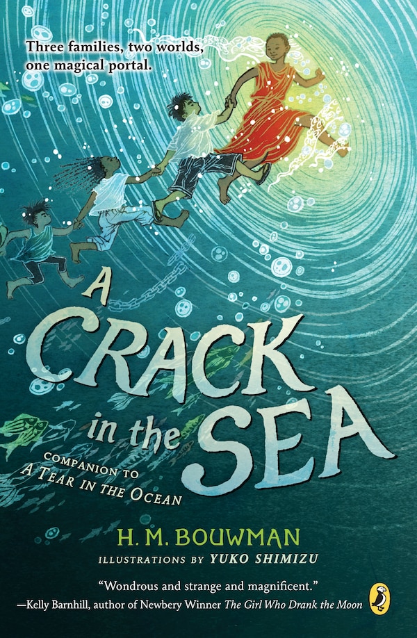 A Crack In The Sea by H. M. Bouwman, Paperback | Indigo Chapters