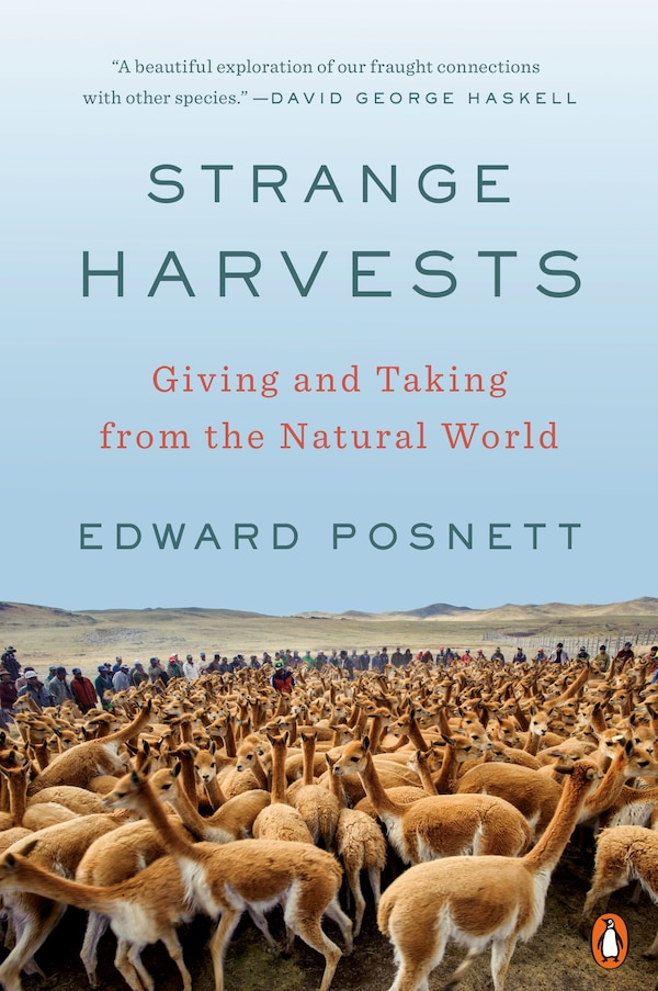 Strange Harvests by Edward Posnett, Paperback | Indigo Chapters