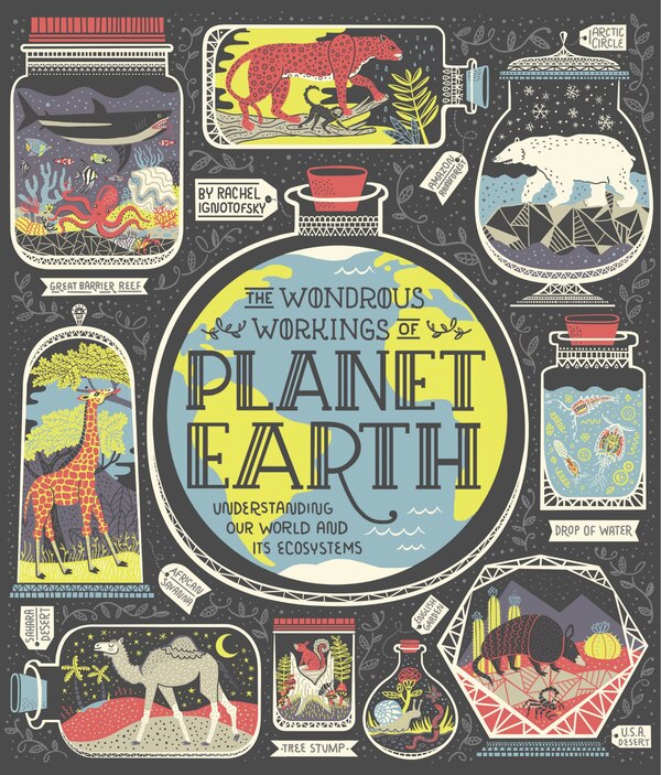 The Wondrous Workings Of Planet Earth by Rachel Ignotofsky, Hardcover | Indigo Chapters