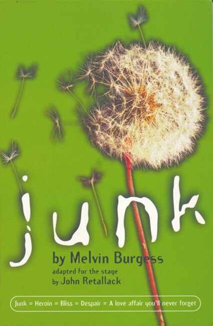 Junk by Melvin Burgess, Paperback | Indigo Chapters