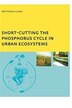 Short-cutting The Phosphorus Cycle In Urban Ecosystems by Bekithemba Gumbo, Paperback | Indigo Chapters