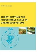 Short-cutting The Phosphorus Cycle In Urban Ecosystems by Bekithemba Gumbo, Paperback | Indigo Chapters