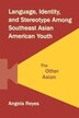Language Identity And Stereotype Among Southeast Asian American Youth by Angela Reyes, Paperback | Indigo Chapters