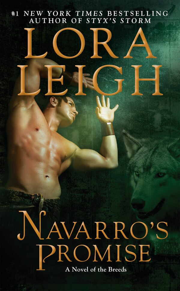 Navarro's Promise by Lora Leigh, Mass Market Paperback | Indigo Chapters