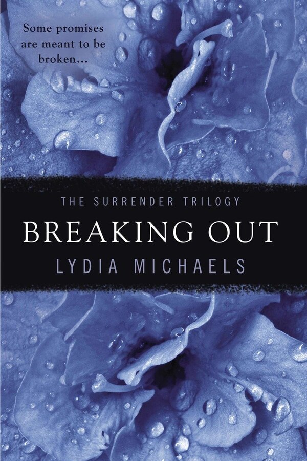 Breaking Out by Lydia Michaels, Paperback | Indigo Chapters