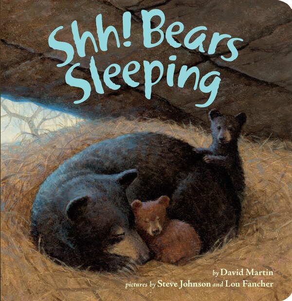 Shh Bears Sleeping by David Martin, Board Book | Indigo Chapters