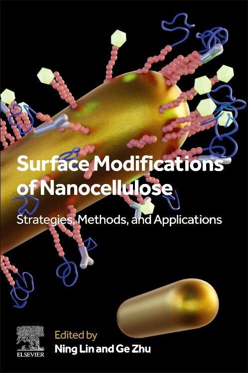 Surface Modifications of Nanocellulose by Ning Lin, Paperback | Indigo Chapters