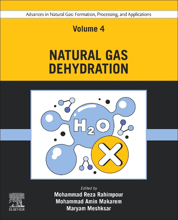 Advances in Natural Gas by Mohammad Reza Rahimpour, Paperback | Indigo Chapters