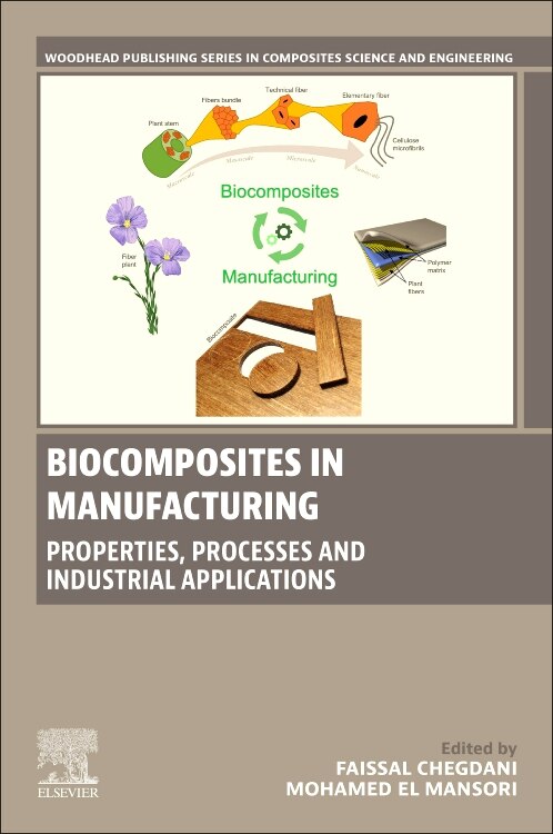 Biocomposites in Manufacturing by Faissal Chegdani, Paperback | Indigo Chapters