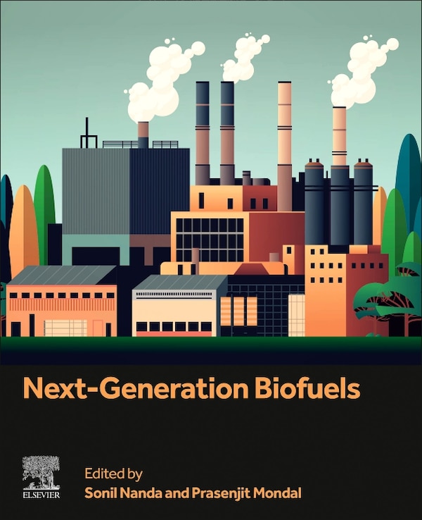 Next-Generation Biofuels by Sonil Nanda, Paperback | Indigo Chapters
