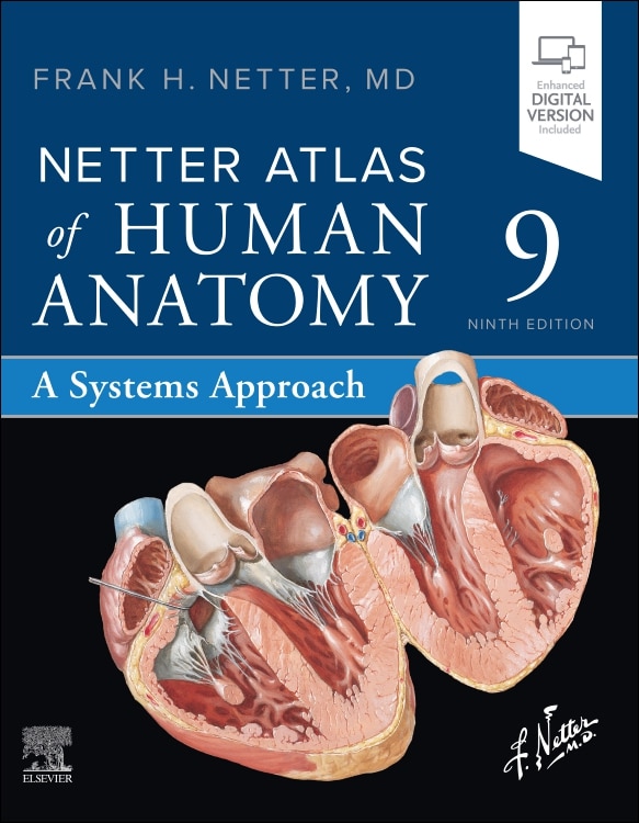 Netter Atlas of Human Anatomy by Frank H. Netter, Paperback | Indigo Chapters