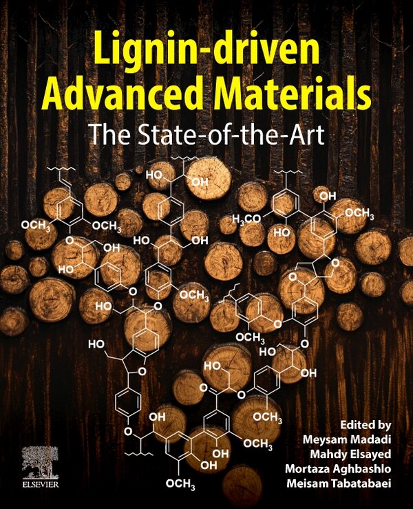 Lignin-driven Advanced Materials by Meysam Madadi, Paperback | Indigo Chapters
