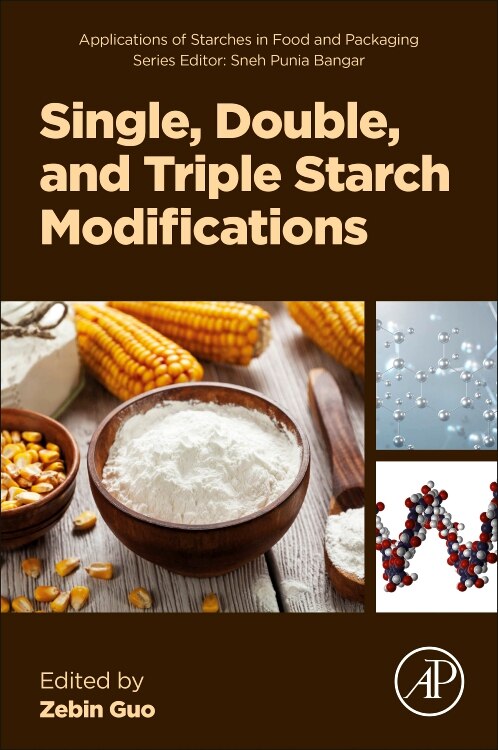 Single Double and Triple Starch Modifications by Zebin Guo, Paperback | Indigo Chapters