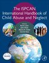 The ISPCAN International Handbook of Child Abuse and Neglect by Kevin Lalor, Paperback | Indigo Chapters
