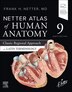 Netter Atlas of Human Anatomy by Frank H. Netter, Paperback | Indigo Chapters