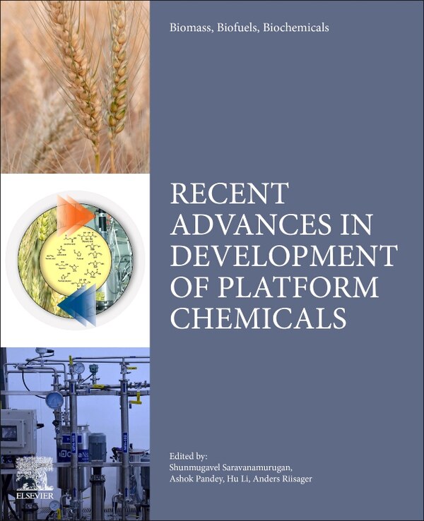 Biomass Biofuels Biochemicals by S. Saravanamurugan, Paperback | Indigo Chapters