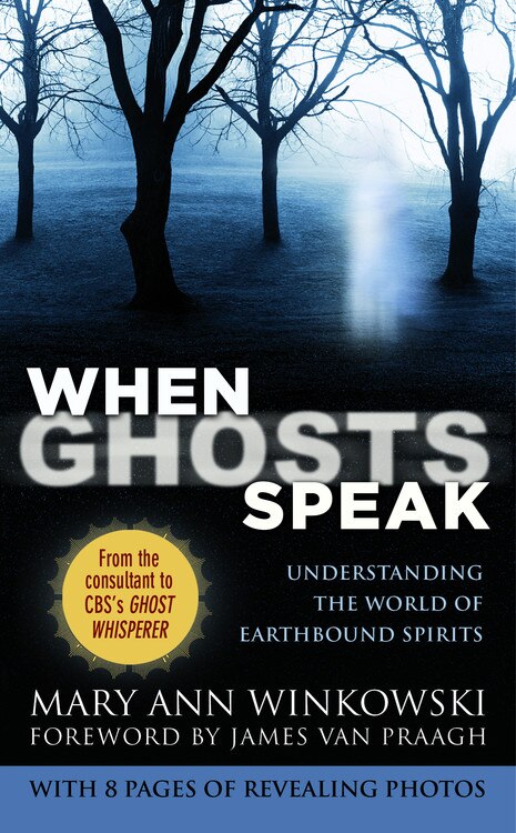 When Ghosts Speak by Mary Ann Winkowski, Mass Market Paperback | Indigo Chapters