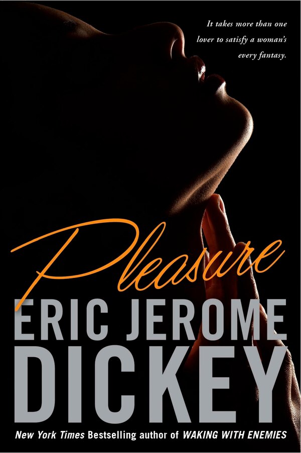 Pleasure by Eric Jerome Dickey, Paperback | Indigo Chapters