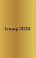 trump Gold 2020 Journal by Michael Huhn, Paperback | Indigo Chapters