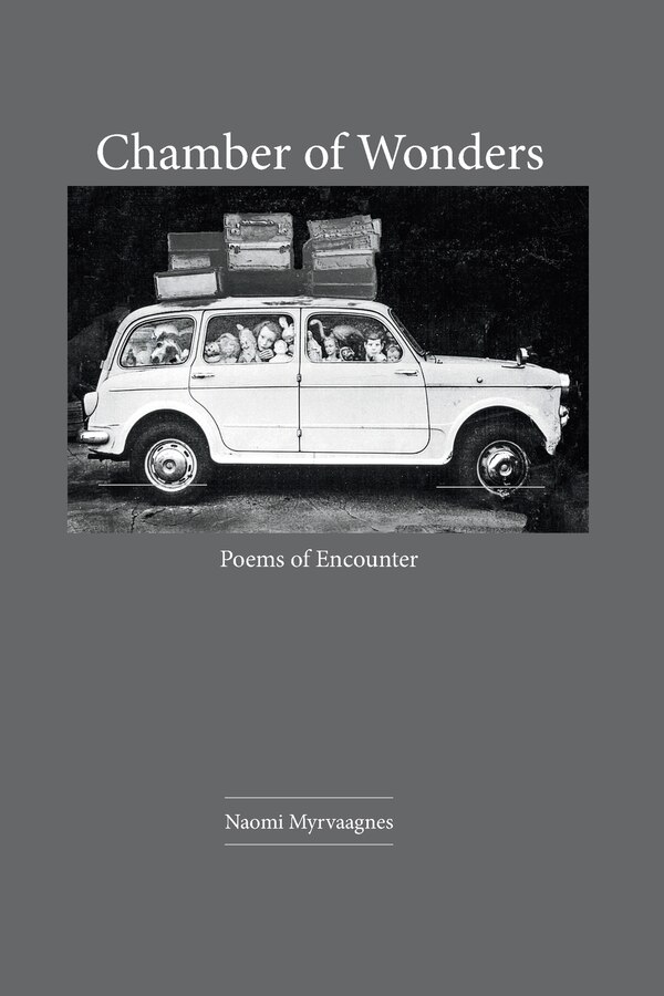 Chamber Of Wonders by Naomi Myrvaagnes, Paperback | Indigo Chapters