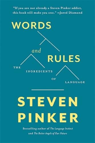 Words And Rules by STEVEN PINKER, Paperback | Indigo Chapters