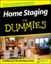 Home Staging For Dummies by Christine Rae, Paperback | Indigo Chapters