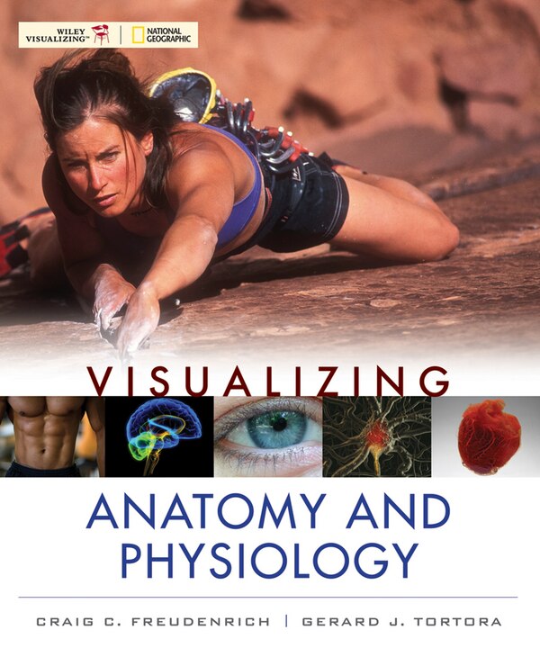 Visualizing Anatomy and Physiology by Craig Freudenrich, Paperback | Indigo Chapters