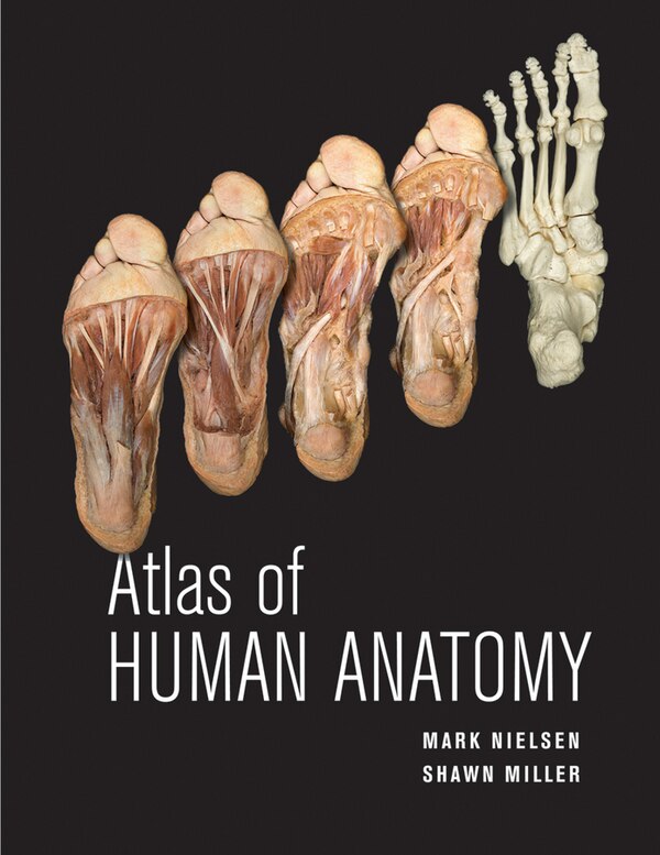 Atlas of Human Anatomy by Mark Nielsen, Paperback | Indigo Chapters